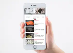 巴西电信巨擘挺进南极！5G信号将覆盖科考站