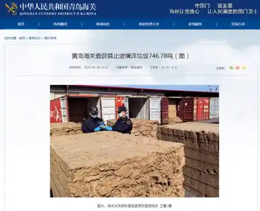 再生纸浆暗藏乱象，海关行业协会重拳出击整治