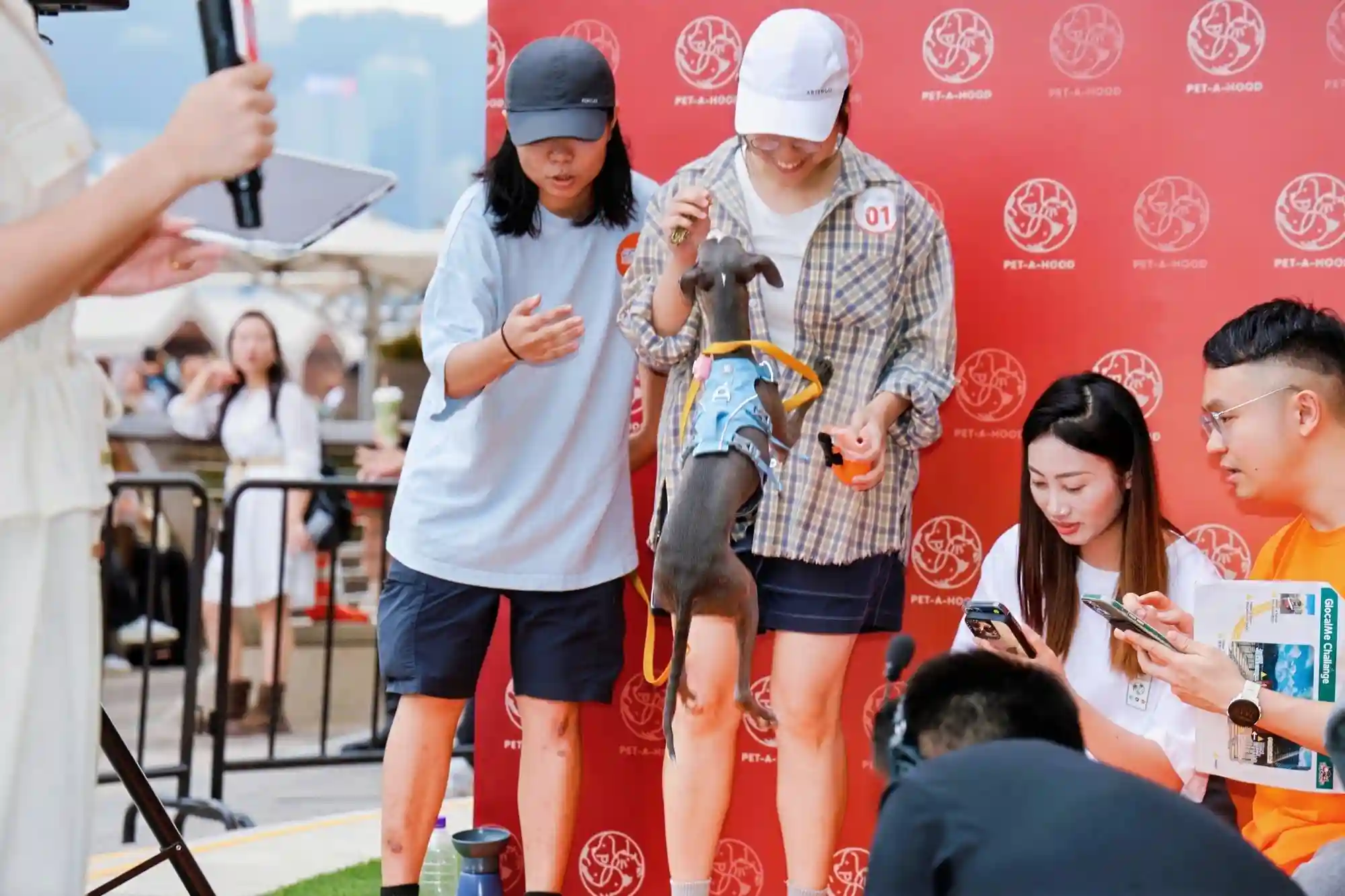 汪星人上线!香港首办PetPhone狗狗打电话大赛,科技暖心弥合跨物种数字鸿沟