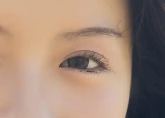 轻便性能兼得!佳能EOS R50开启拍摄新体验