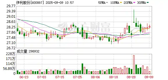科技巨头豪掷中国资产，新兴市场基金重仓布局科技赛道